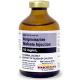 Image for Acepromazine Maleate